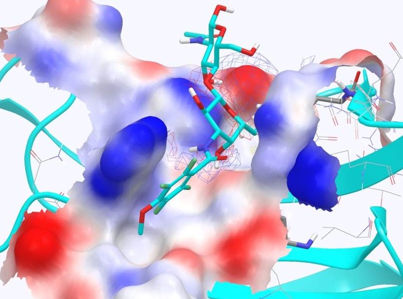 Galectin Sciences: Image of proprietary compound drug (GR-MD-02) in development